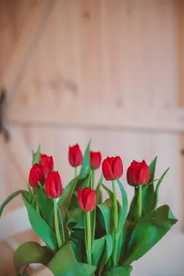 a bouquet of red flowers in a vase at Apartma Cici in Kobarid