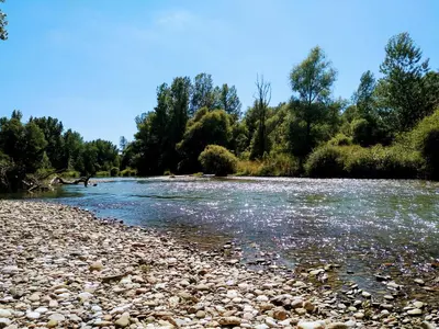 a river with rocks and trees in the background at Počitniška hiša Pavlek in Ivanjkovci
