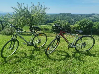 two bikes parked next to each other in the grass at Počitniška hiša Pavlek in Ivanjkovci
