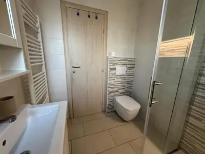a bathroom with a toilet and a glass shower at Apartments Mici in Bled