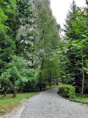 a gravel road in a park with trees at Počitniška hiša Parkfield Dragovan in Metlika