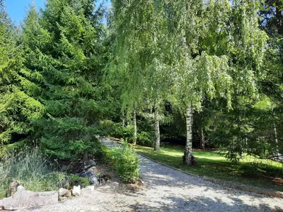 a path in a park with trees and grass at Počitniška hiša Parkfield Dragovan in Metlika