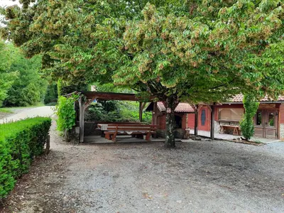 a picnic shelter with a picnic table under a tree at Počitniška hiša Parkfield Dragovan in Metlika