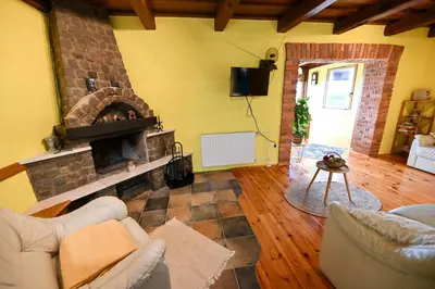 a living room with a couch and a fireplace at Počitniška hiša Parkfield Dragovan in Metlika