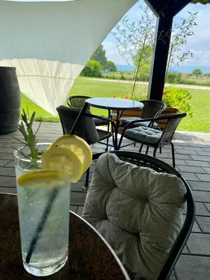 a glass of water with a lemon slice on a table at APP PARCELA CELJE in Celje