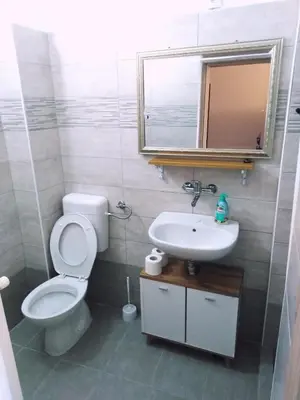 a bathroom with a toilet and a sink and a mirror at APP PARCELA CELJE in Celje