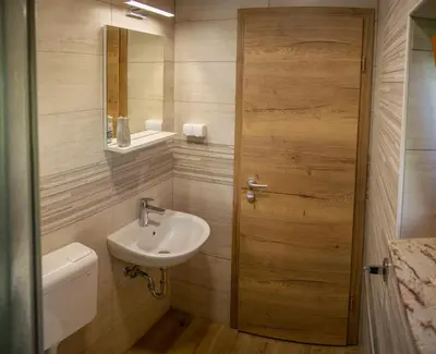 a bathroom with a sink and a toilet and a mirror at Wooden Chalet - Homestead Vrhovc in Železniki