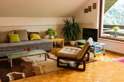 a living room with a couch and a tv at Spacious apartment in Bled