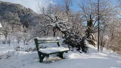 a green bench covered in snow next to a tree at Spacious apartment in Bled