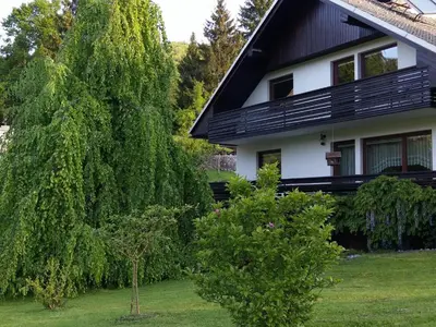 a house with a black roof and a tree at Spacious apartment in Bled