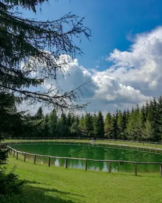 a grassy field with a fence and a pond at Apartment Perunika in Cerkno