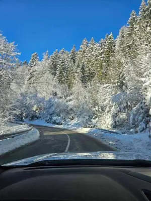 a road with snow covered trees on the side at Apartma Rogla Gaber 63 in Zreče