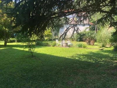 a green yard with a tree and a house at Vila Labod, unique villa at the lake in Most na Soči