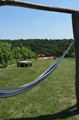 a hammock in a field with a view at Vorgova klet in Bogojina