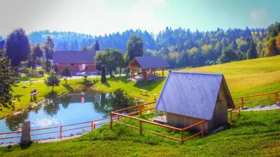 a small house on a hill next to a pond at Glamping Vrhovc in Železniki