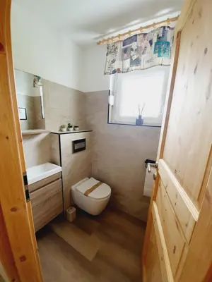 a small bathroom with a toilet and a window at Honey apartments in Žirovnica