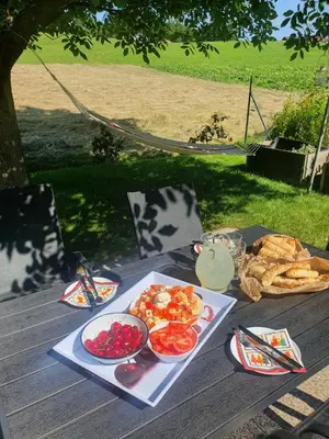 a picnic table with a tray of food on it at Green Oasis Anica in Podčetrtek