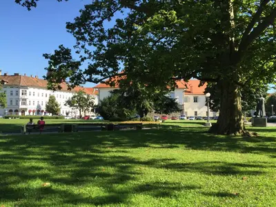a park with a tree and benches in the grass at Sunrise Maribor apartment with private parking in Maribor