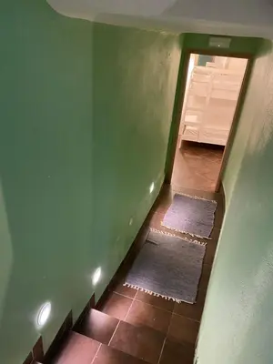 a hallway with a green wall and two rugs at Travellers' Haven Hostel in Bled