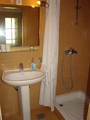 a bathroom with a sink and a shower at Apartments and Rooms Villa Vive in Bled