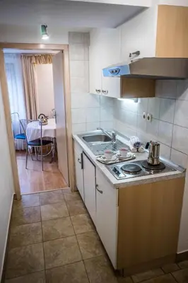 a kitchen with a sink and a stove top oven at Apartments and Rooms Villa Vive in Bled