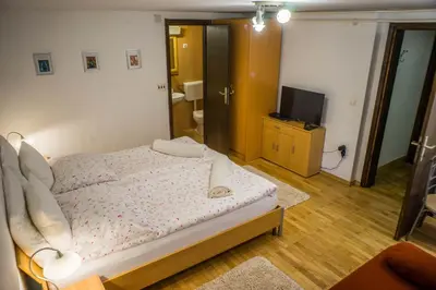 a bedroom with a bed and a tv in it at Apartments and Rooms Villa Vive in Bled