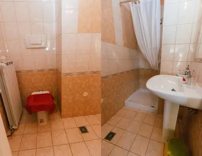 a bathroom with a shower and a sink and a toilet at B&B Vransko 29 in Vransko