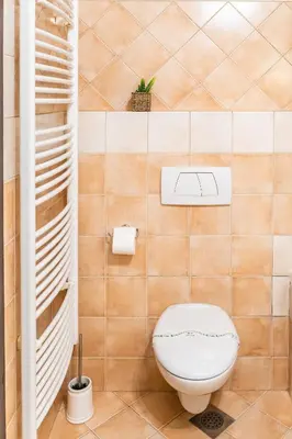 a bathroom with a toilet in a tiled wall at Stairway to the castle in Ljubljana