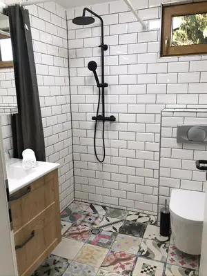 a bathroom with a shower with a sink and a toilet at Village Apartments in Šentilj