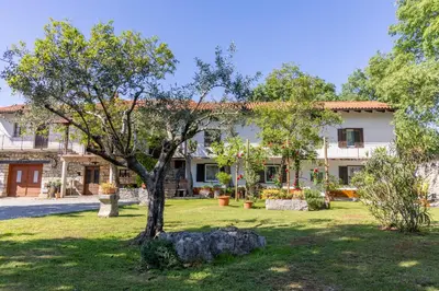 a tree in the yard of a house at Domačija Mirko in Miren