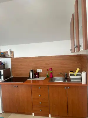 a kitchen with wooden cabinets and a sink at Turistična kmetija Golej in Podčetrtek