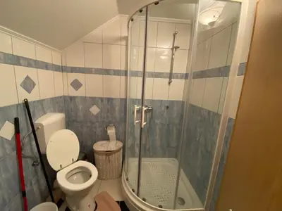 a bathroom with a toilet and a glass shower at Turistična kmetija Golej in Podčetrtek