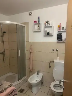 a bathroom with a shower and a toilet and a sink at Turistična kmetija Golej in Podčetrtek