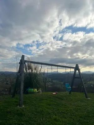 a swing set on top of a grassy field at Turistična kmetija Golej in Podčetrtek