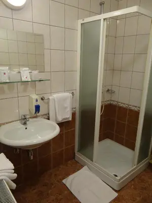 a bathroom with a shower and a sink at Rooms Hochkraut in Celje