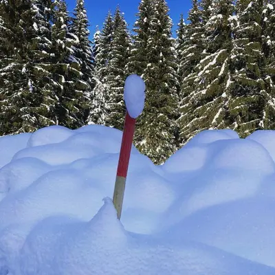 a red stick sticking out of a pile of snow at Apartma Jure in Zgornje Gorje