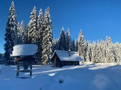 a cabin in the snow with snow covered trees at Apartma Jure in Zgornje Gorje