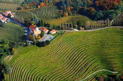 an aerial view of a farm in a vineyard at Urlaub für die Seele - Erholung Pur in der Natur - Ferienhaus mit Infrarotkabine & RELAX-Raum in Rucmanci