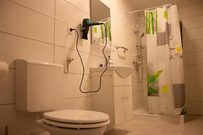 a bathroom with a toilet and a shower at Turistična kmetija Sirk in Zgornja Velka
