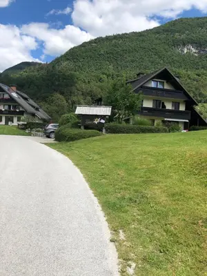 a house on the side of a road at Apartment in the heart of nature in Bohinj