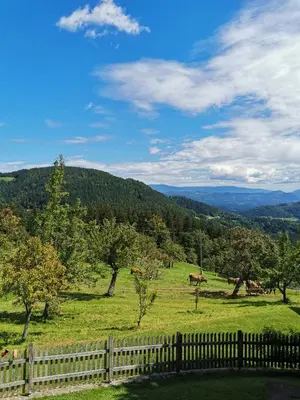 a fence in a field with a horse in the distance at Apartma Lesjak - pobeg v naravo in Mozirje
