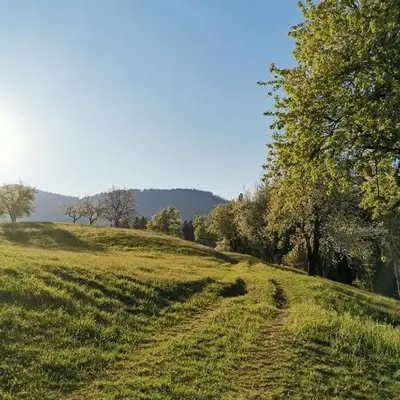 Apartma Lesjak - pobeg v naravo