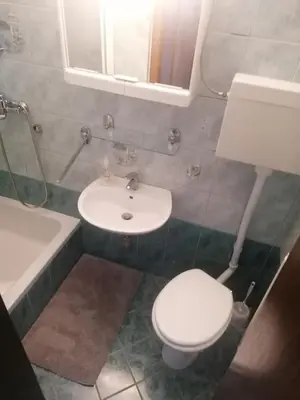a bathroom with a white toilet and a sink at Apartma Gače in Semič
