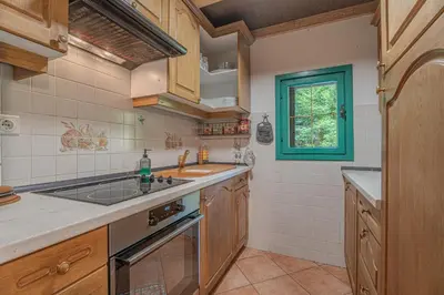 a kitchen with a sink and a stove at Vila Fani, Kostel - vacation house Pr' Vili Fani in Kostel