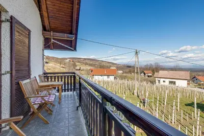 Gallery image of Vineyard Cottage Bahor - Happy Rentals in Črnomelj