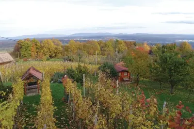 Gallery image of Vineyard Cottage Bahor - Happy Rentals in Črnomelj
