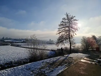a person standing next to a tree in the snow at Roof Apartment ART-PE in Trebnje