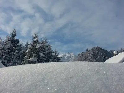 a pile of snow with trees in the background at Apartments Balon in Kranjska Gora
