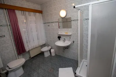 a bathroom with a toilet and a sink and a shower at Guesthouse Špenko in Kamnik