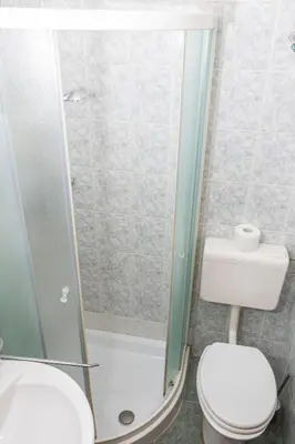 a bathroom with a toilet and a shower at Guesthouse Špenko in Kamnik